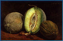 Melons d'Espagne, 1873
